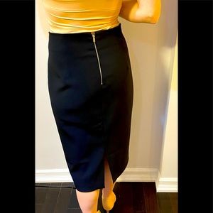 Zara Pencil Skirt with Silver Zipper